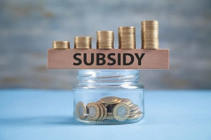 export subsidy grows but only bangladesh rmg yields anticipated result